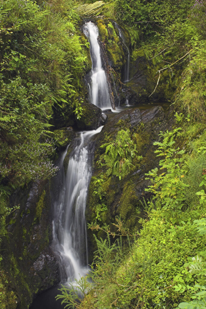 Northern Ireland County Down Tollymore Forest Park Maria s falls near marias bridge in Tollymore Forest Park