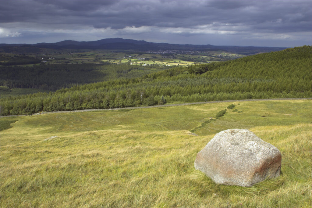 Northern Ireland County Down Tollymore Forest Park A storm clears over the Forest Park viewed from the Mourne Mountains