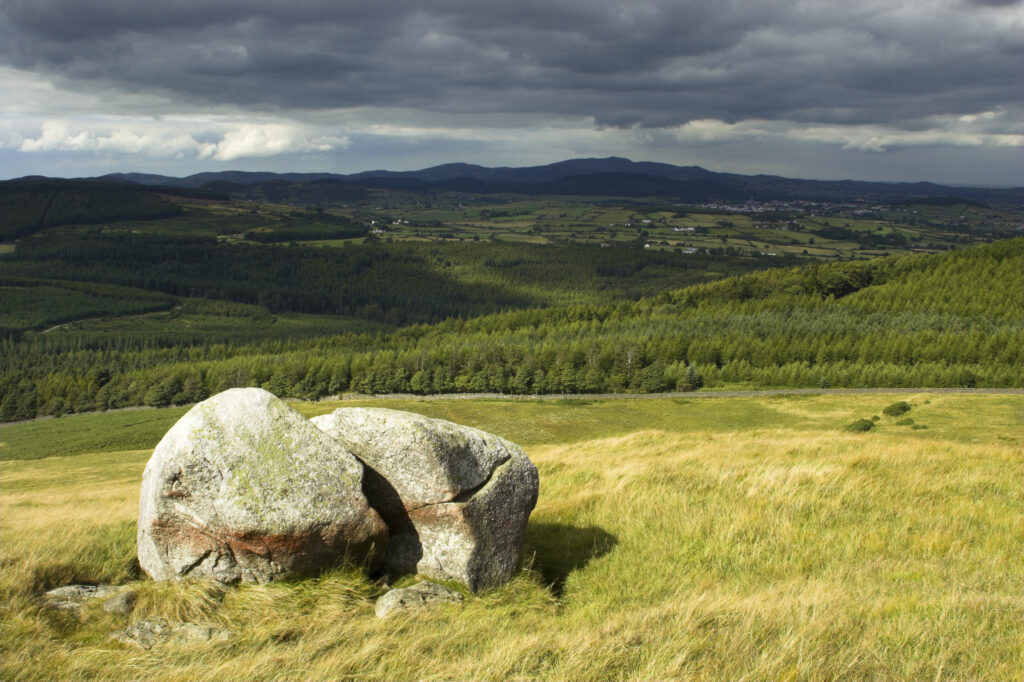 Northern Ireland County Down Tollymore Forest Park A storm clears over the Forest Park viewed from the Mourne Mountains