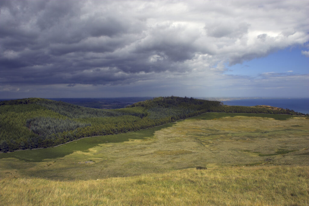 Northern Ireland County Down Tollymore Forest Park A storm clears over the Forest Park viewed from the Mourne Mountains