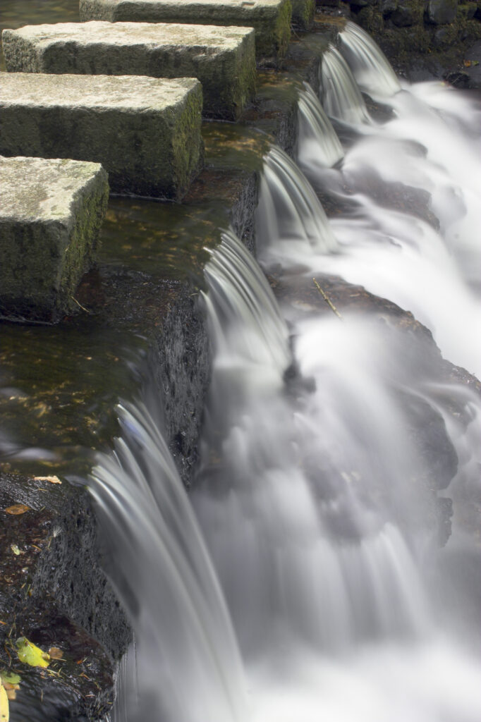Northern Ireland County Down Tollymore Forest Park Stepping stones over the Shimna river in the heart of Tollymore Forest Park near Newcastle
