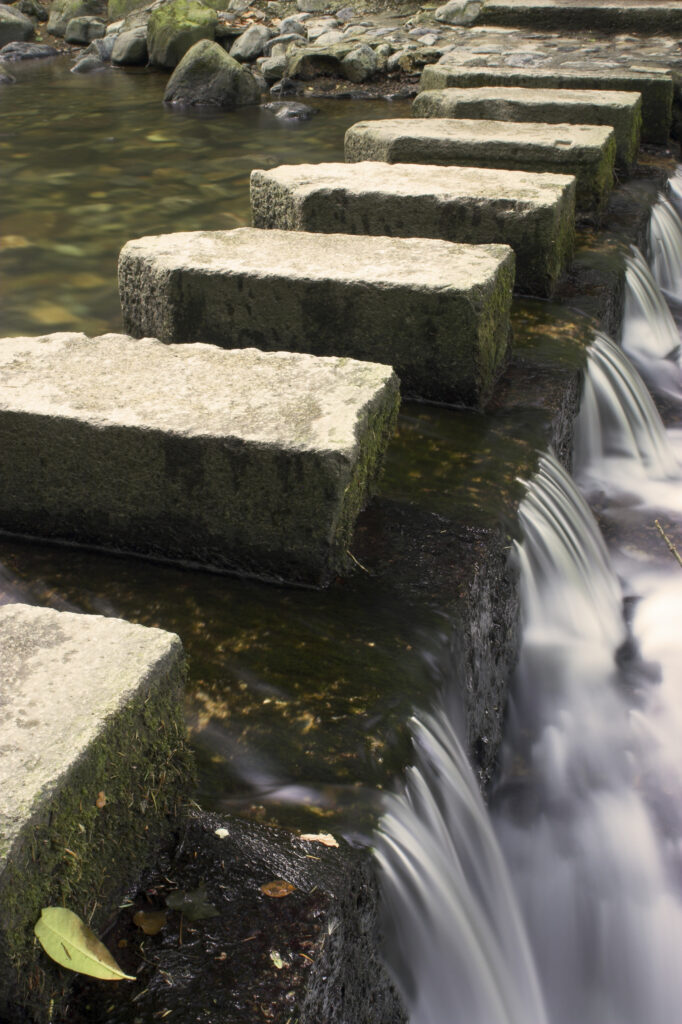 Northern Ireland County Down Tollymore Forest Park Stepping stones over the Shimna river in the heart of Tollymore Forest Park near Newcastle