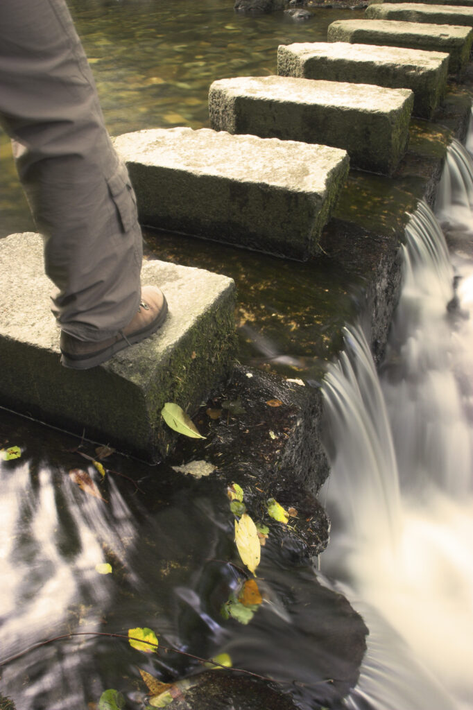 Northern Ireland County Down Tollymore Forest Park Stepping stones over the Shimna river in the heart of Tollymore Forest Park near Newcastle