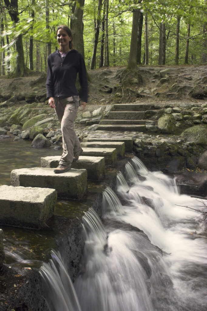 Northern Ireland County Down Tollymore Forest Park Female hiker walking accross stepping stones over the Shimna river in the heart of Tollymore Forest Park near Newcastle