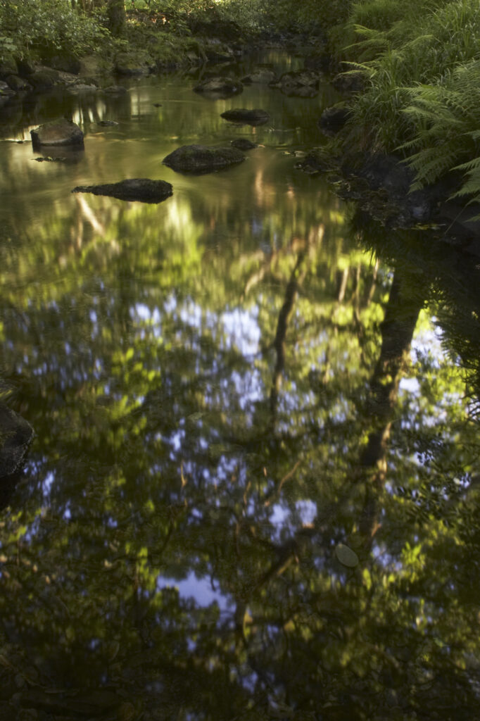 England, Cumbria, Lake Dusrict National Park. Reflections of the summer foliage of woodland surrounding Yewdale Beck.