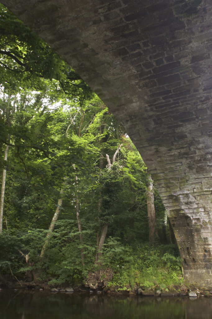 England, Cumbria, Bell Bridge. The stone curve of Bell Bridge and surrounding woodland, on the final day of the Cumbria Way