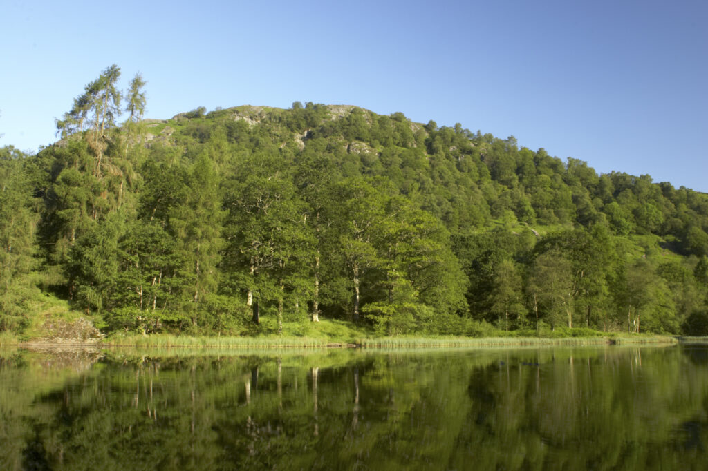 England, Cumbria, Lake District National Park Reflections of typical lake district scenary in the still waters of Yew Tree Tarn