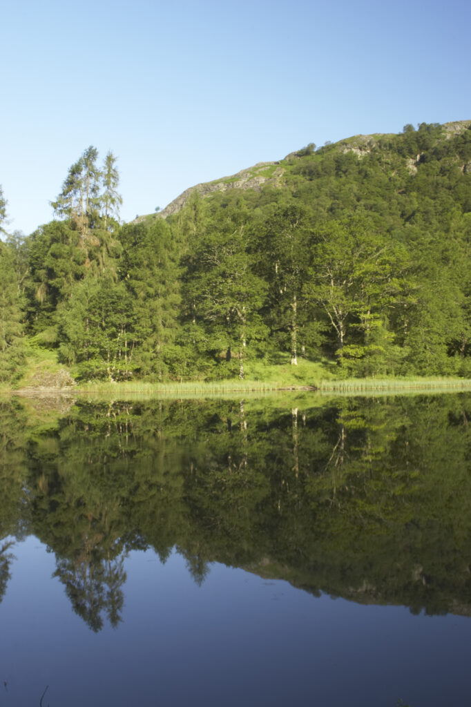 England, Cumbria, Lake District National Park Reflections of typical lake district scenary in the still waters of Yew Tree Tarn