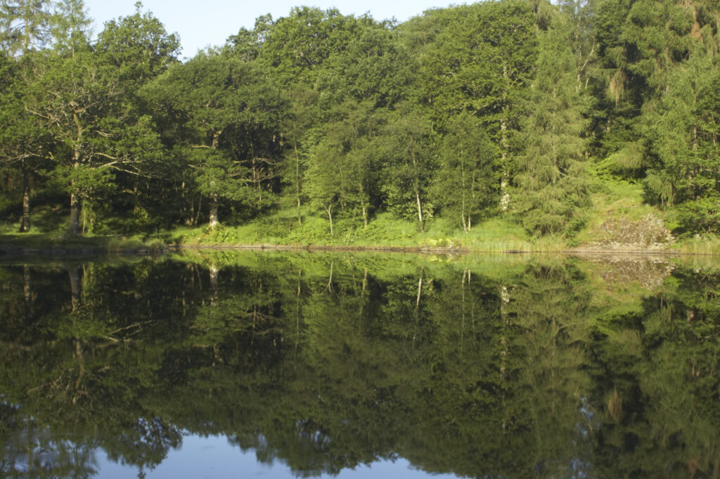 England, Cumbria, Lake District National Park Reflections of typical lake district scenary in the still waters of Yew Tree Tarn