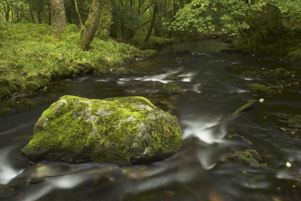 England, Cumbria, Lake District National Park. The River Brathy flowing through the popular Colwith Woods.