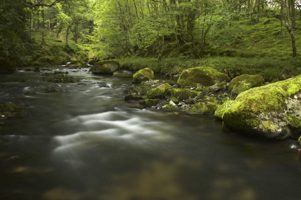 England, Cumbria, Lake District National Park. The River Brathy flowing through the popular Colwith Woods.