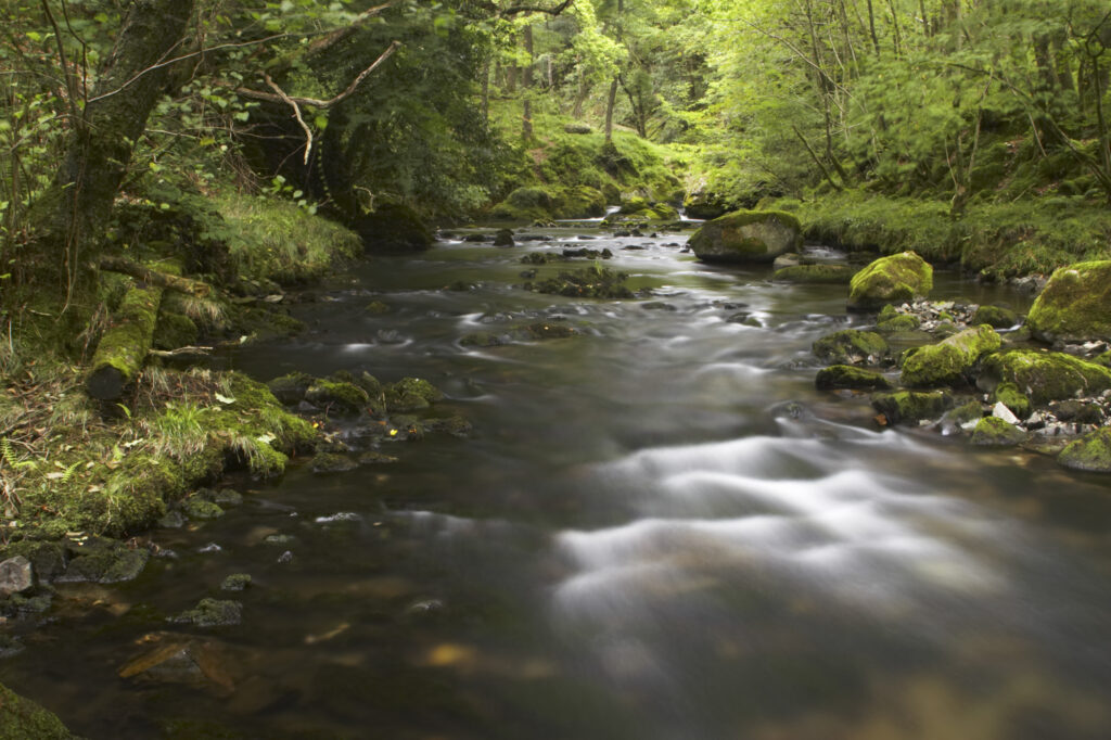 England, Cumbria, Lake District National Park. The River Brathy flowing through the popular Colwith Woods.