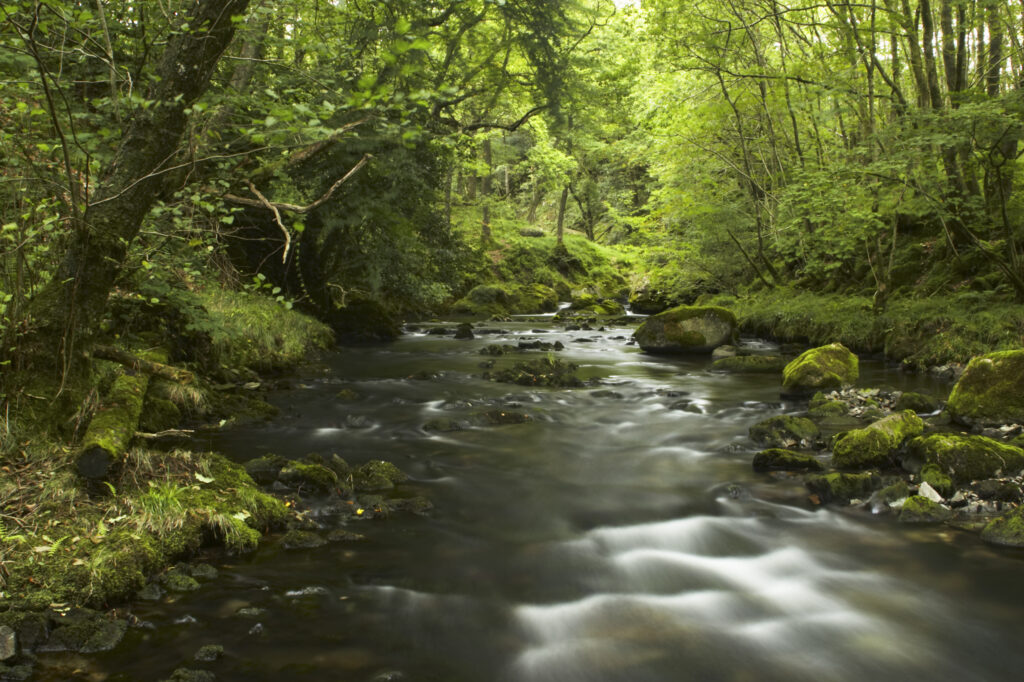 England, Cumbria, Lake District National Park. The River Brathy flowing through the popular Colwith Woods.