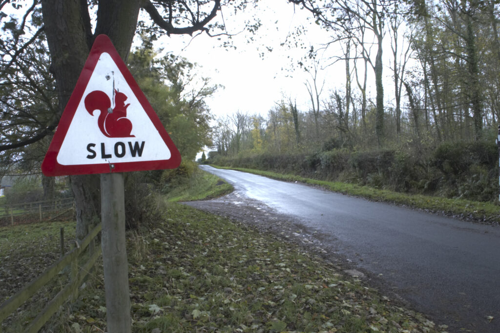 England, Cumbria, Red Squirrel Sign. Slow down for red squirrel sign - to help save Red Squirrels from extinction in the last remaining pockets of woodland homing red squirrels in the united kingdom