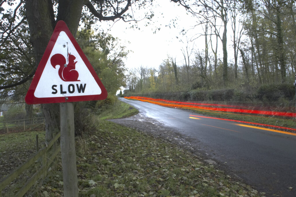 England, Cumbria, Red Squirrel Sign. Slow down for red squirrel sign - to help save Red Squirrels from extinction in the last remaining pockets of woodland homing red squirrels in the united kingdom
