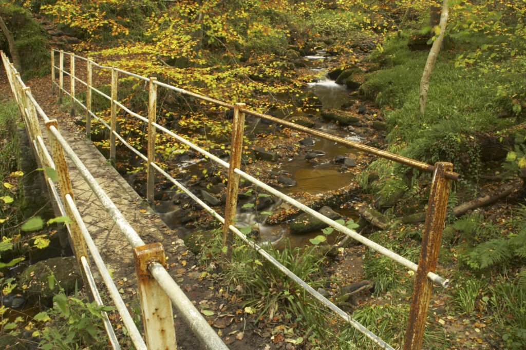 ENGLAND Northumberland Allen Banks A bridge crossing over a small beck to be found flowing through a colourful display of autumn colours on trees within the woodland of the Allen Banks National Trust area