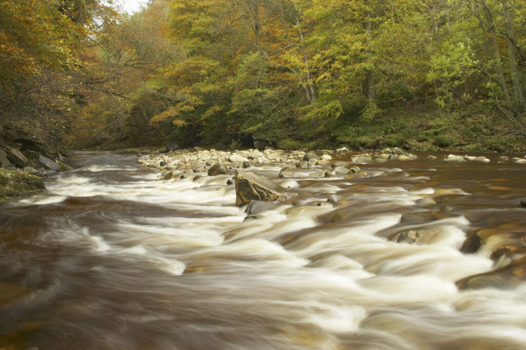 ENGLAND Northumberland Allen Banks The fast flowing waters of River Allen running through the tree clad Staward Gorge in Autumn ( National trust )