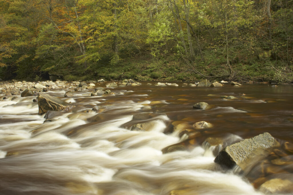 ENGLAND Northumberland Allen Banks The fast flowing waters of River Allen running through the tree clad Staward Gorge in Autumn ( National trust )