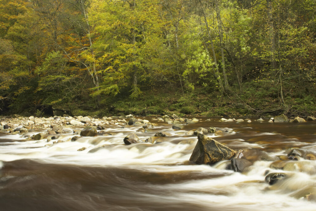 ENGLAND Northumberland Allen Banks The fast flowing waters of River Allen running through the tree clad Staward Gorge in Autumn ( National trust )