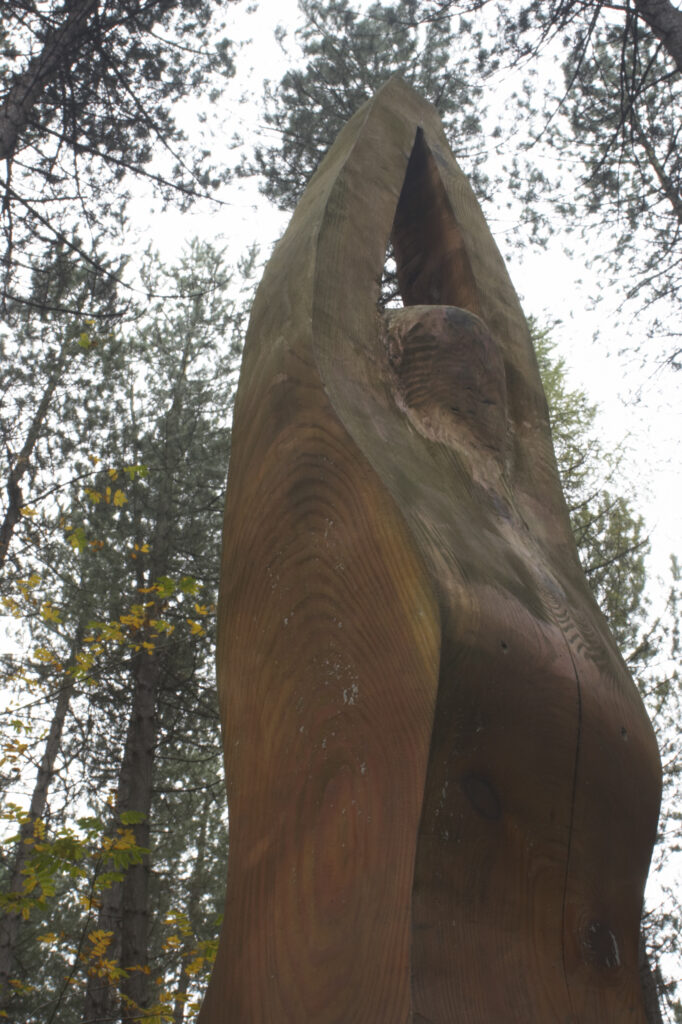 Landscape photograph of Chopwell Woodland Park. England, Tyne and Wear, Chopwell Woodland Park. Wooden sculpure found in forestry commission woodland between High Spen and Rowland Gill, near to the city of Newcastle Upon Tyne.