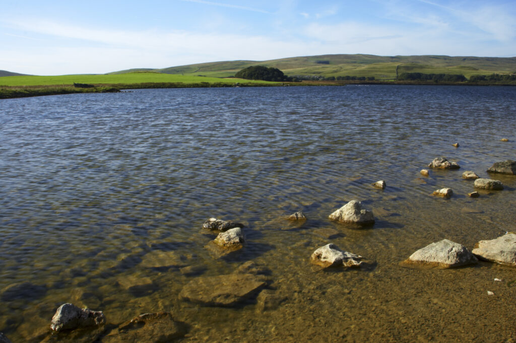 England, Yorkshire Dales National Park, Malham Tarn. Malham Tarn near Malham Cove is Englands highest freshwater lake