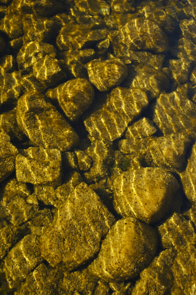England, Yorkshire Dales National Park, Malham Tarn. Abstract view of Malham Tarn - Englands highest freshwater lake