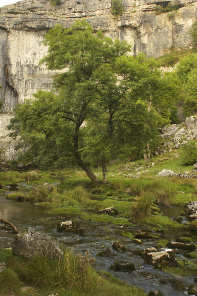 England, Yorkshire, Yorkshire Dales National Park. The impressive natural rock formations / geology of Malham Cove in the Yorkshire Dales National Park