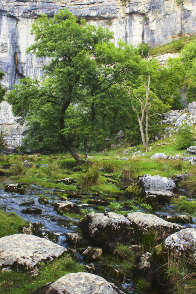 England, Yorkshire, Yorkshire Dales National Park. The impressive natural rock formations / geology of Malham Cove in the Yorkshire Dales National Park
