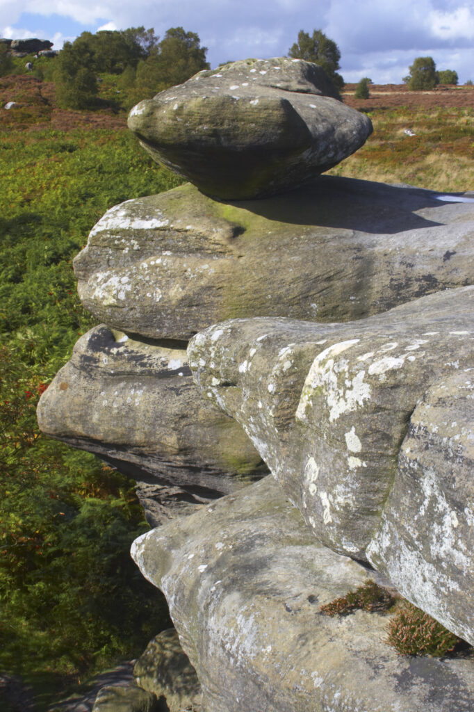 England, North Yorkshire, Brimham Rocks. Unique Rock formations of Brimham Rocks at Brimham in Nidderdale, found scattered over the wild expanse of Brimham Moor.