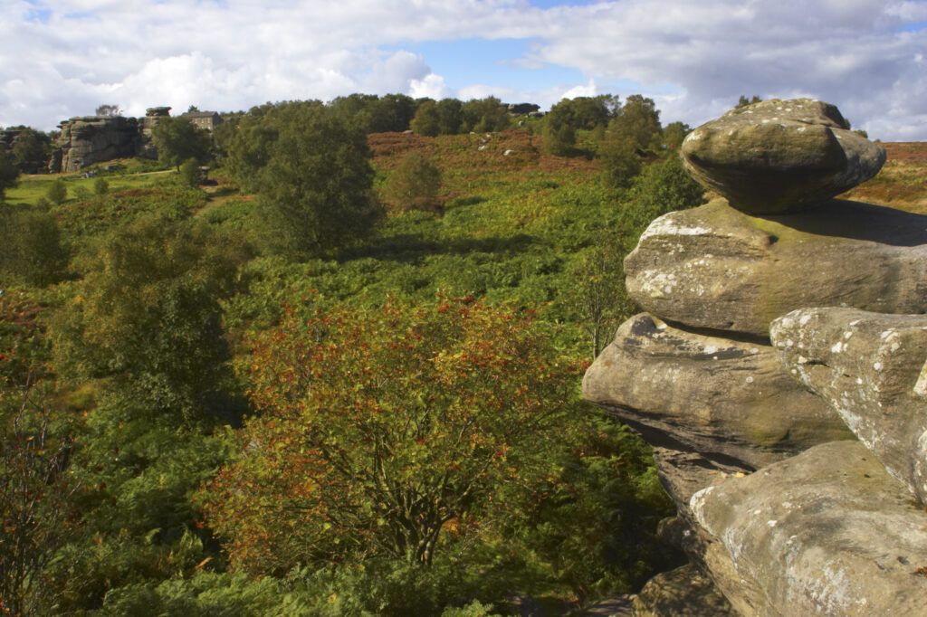 England, North Yorkshire, Brimham Rocks. Unique Rock formations of Brimham Rocks at Brimham in Nidderdale, found scattered over the wild expanse of Brimham Moor.