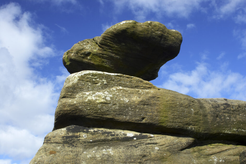 England, North Yorkshire, Brimham Rocks. Unique Rock formations of Brimham Rocks at Brimham in Nidderdale, found scattered over the wild expanse of Brimham Moor.