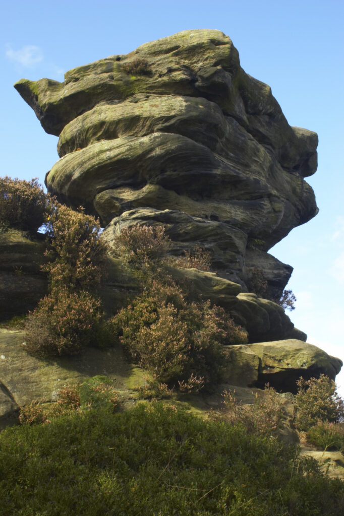 England, North Yorkshire, Brimham Rocks. Unique Rock formations of Brimham Rocks at Brimham in Nidderdale, found scattered over the wild expanse of Brimham Moor.