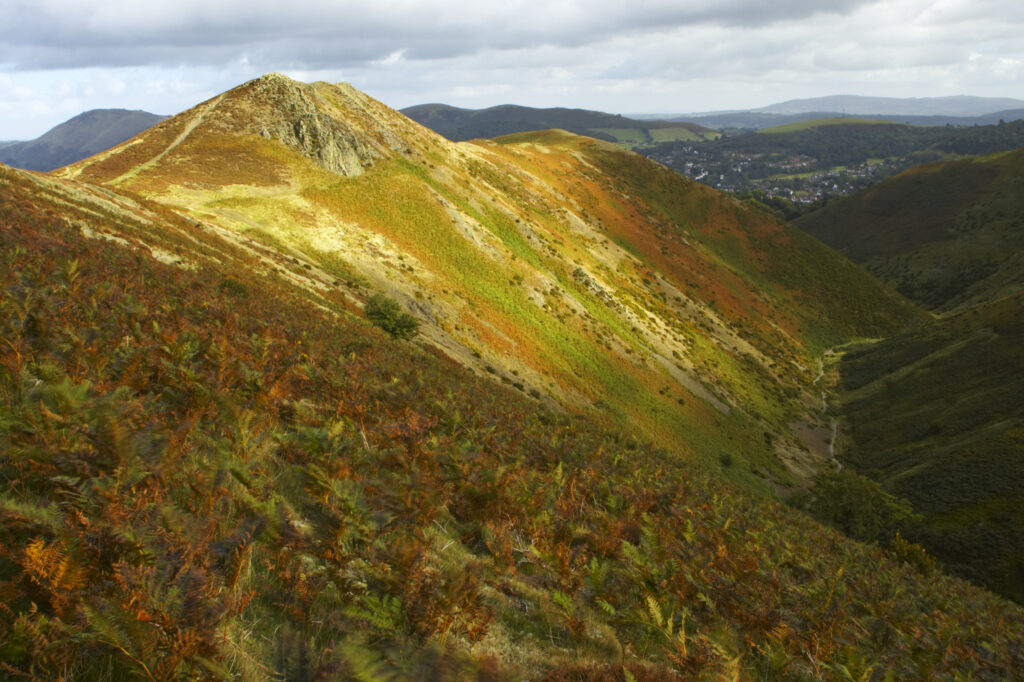 England, Shropshire, The Long Mynd. View from the Long Mynd in early autumn looking across the green and red expanse of this popular hiking and gliding plateau in the west midlands.