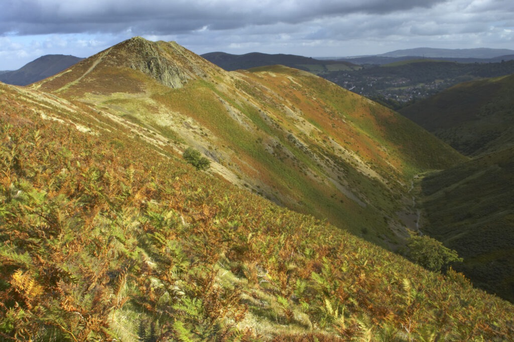 England, Shropshire, The Long Mynd. View from the Long Mynd in early autumn looking across the green and red expanse of this popular hiking and gliding plateau in the west midlands.