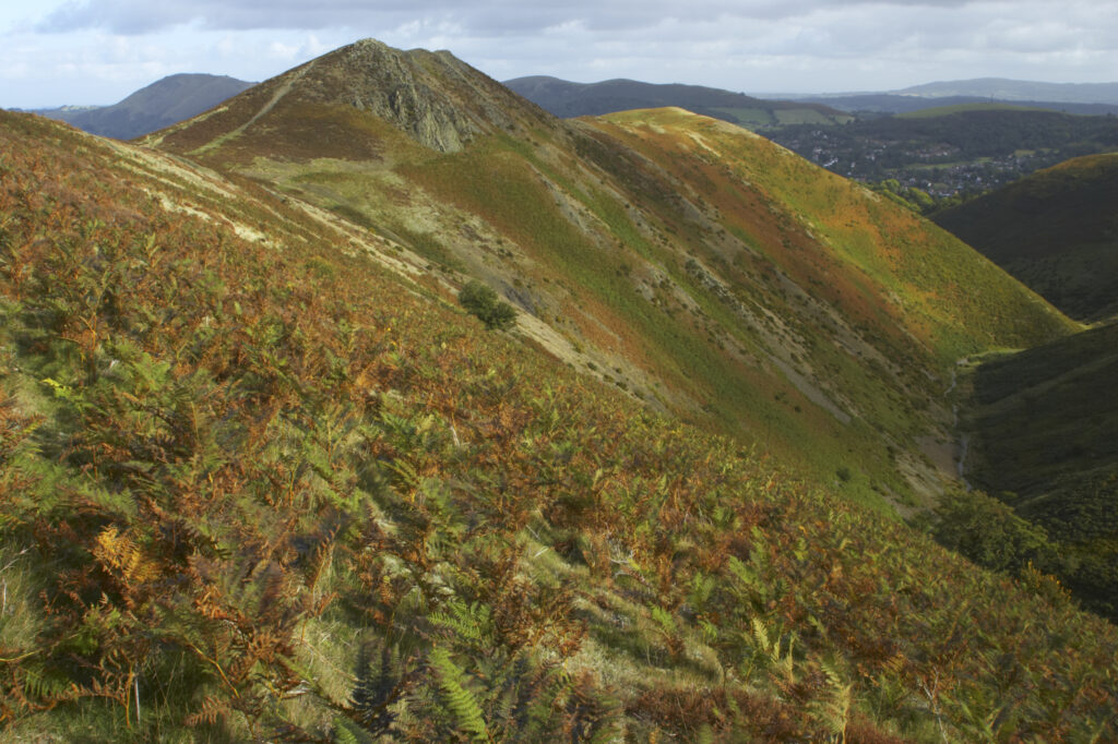 England, Shropshire, The Long Mynd. View from the Long Mynd in early autumn looking across the green and red expanse of this popular hiking and gliding plateau in the west midlands.