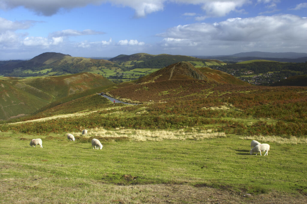England, Shropshire, The Long Mynd. View from the Long Mynd in early autumn looking across the green and red expanse of this popular hiking and gliding plateau in the west midlands.