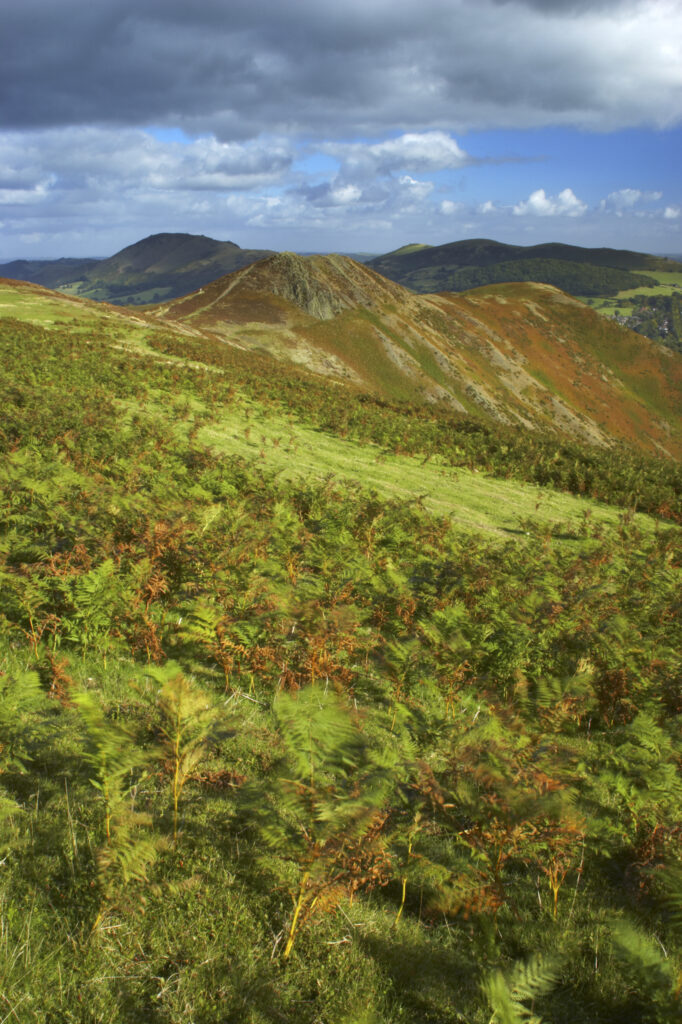 England, Shropshire, The Long Mynd. View from the Long Mynd in early autumn looking across the green and red expanse of this popular hiking and gliding plateau in the west midlands.
