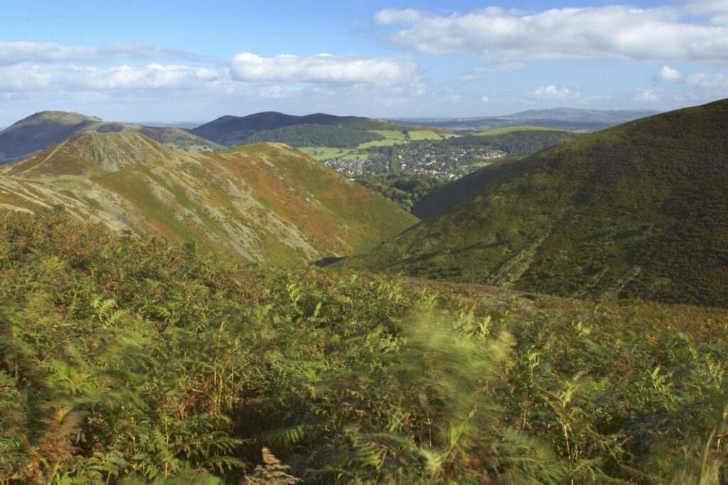 England, Shropshire, The Long Mynd. View from the Long Mynd in early autumn looking across the green and red expanse of this popular hiking and gliding plateau in the west midlands.