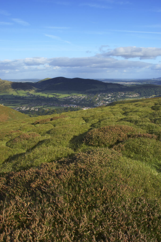 England, Shropshire, The Long Mynd. View from the Long Mynd in early autumn looking across the green and red expanse of this popular hiking and gliding plateau in the west midlands.