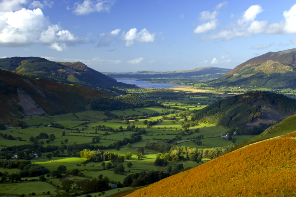 ENGLAND Cumbria Lake District National Park View from Cats Bells near Derwentwater, looking towards Skiddaw and Bassenthwaite.