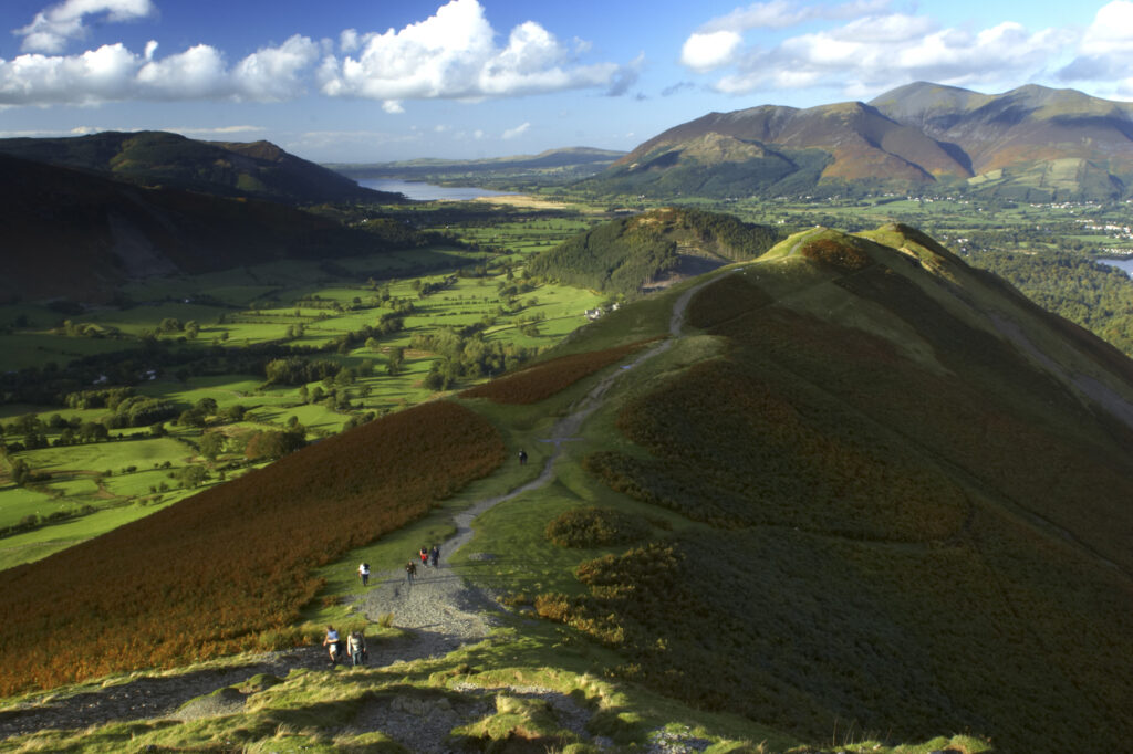 ENGLAND Cumbria Lake District National Park View from Cats Bells near Derwentwater, looking towards Skiddaw and Bassenthwaite.