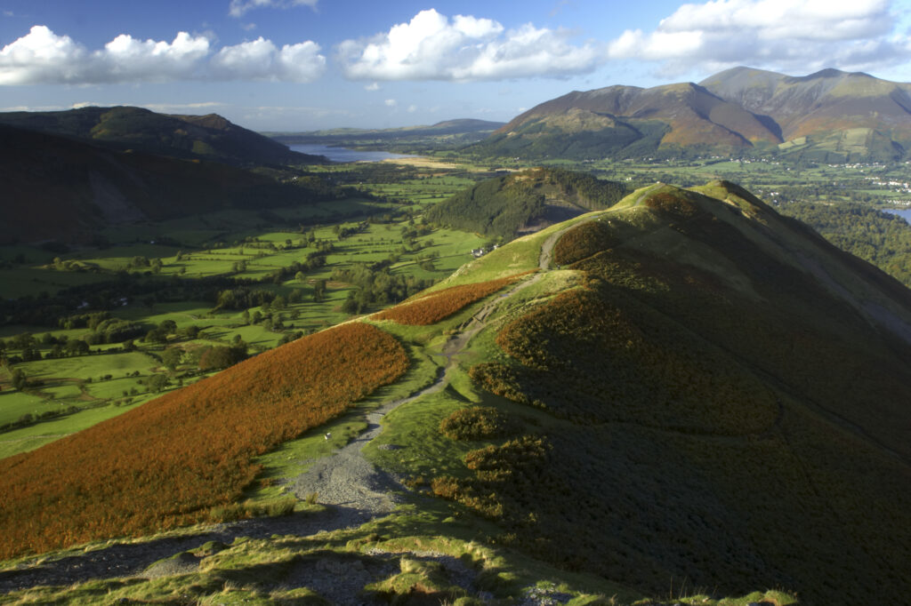 ENGLAND Cumbria Lake District National Park View from Cats Bells near Derwentwater, looking towards Skiddaw and Bassenthwaite.