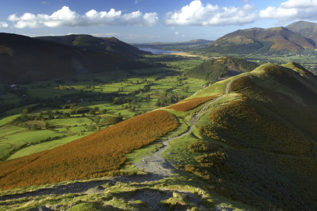 ENGLAND Cumbria Lake District National Park View from Cats Bells near Derwentwater, looking towards Skiddaw and Bassenthwaite.