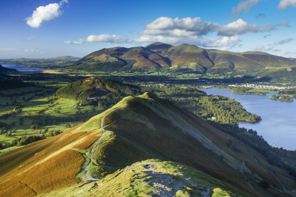 ENGLAND Cumbria Lake District National Park View from Cats Bells near Derwentwater, looking towards Skiddaw and Bassenthwaite.
