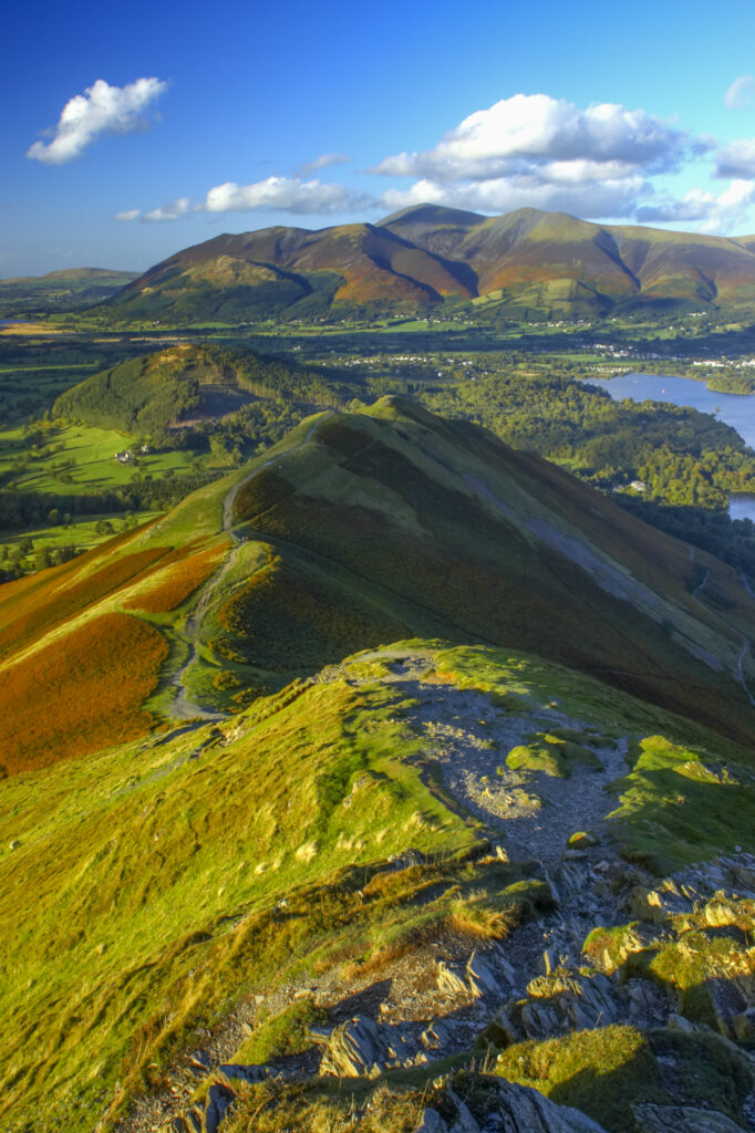 ENGLAND Cumbria Lake District National Park View from Cats Bells near Derwentwater, looking towards Skiddaw and Bassenthwaite.