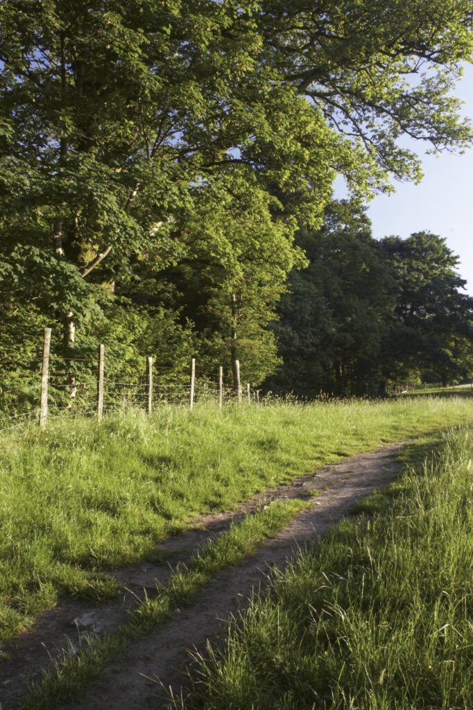 England, Cumbria, Lake District National Park. The cumbria way track near Yewdale Beck by the village of Coniston.