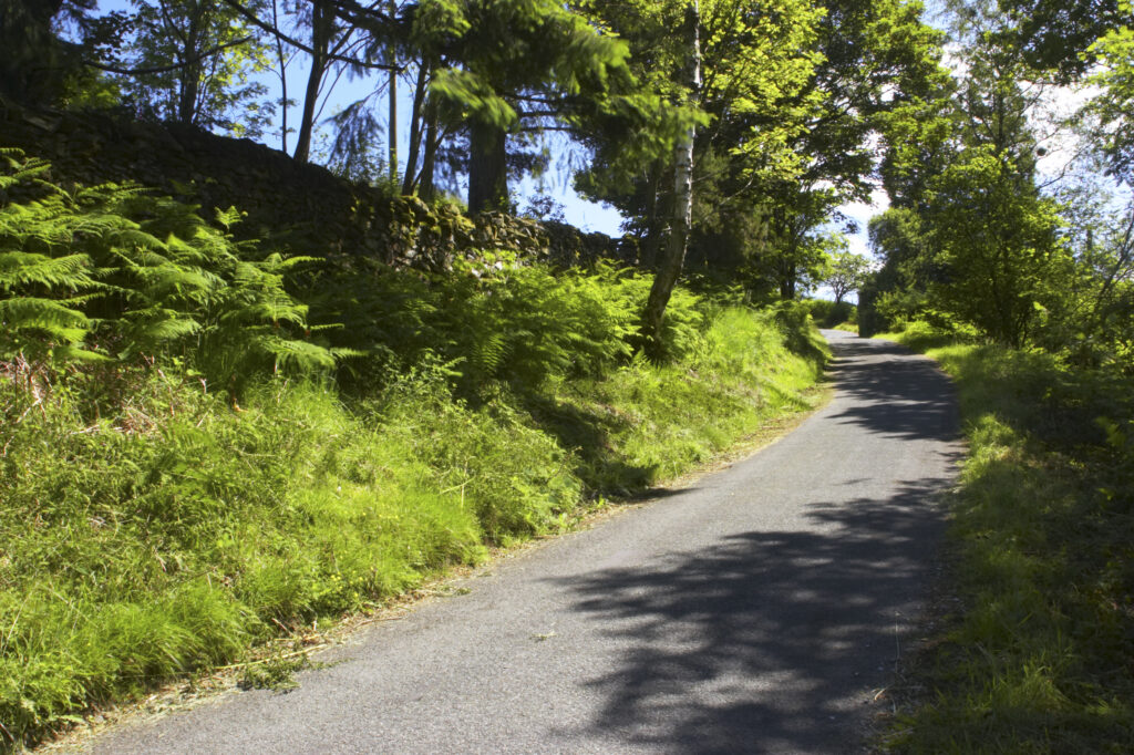 England, Cumbria, Lake District National Park. Quiet country lane near High Oxen Fell.