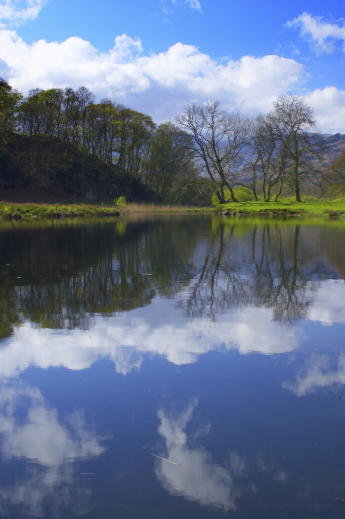 England, Cumbria, Lake District National Park. Mirror like reflections in the still waters of Elterwater.