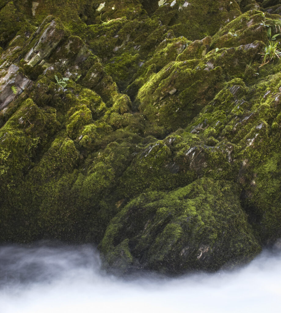 England, Cumbria, Lake District National Park. Rapids and moss covered rocks near Elterwater.