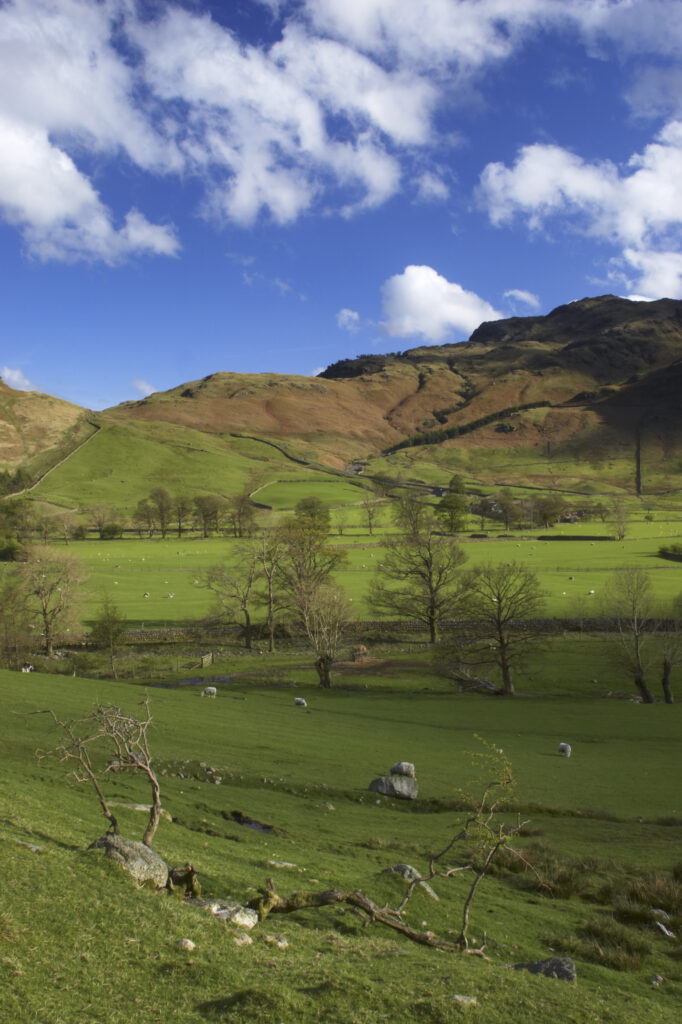 England, Cumbria, Lake District National Park. Fields and hills near Dungeon Ghyl in the Langdale valley.